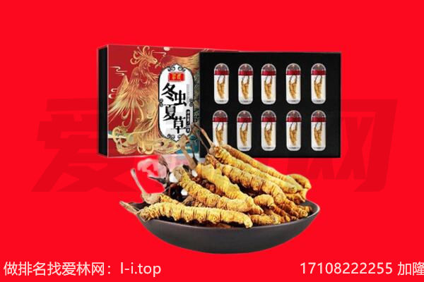 格尔木市回收虫草.jpg